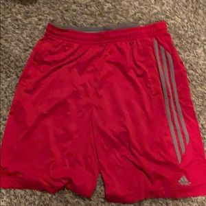 Addis’s athletic shorts